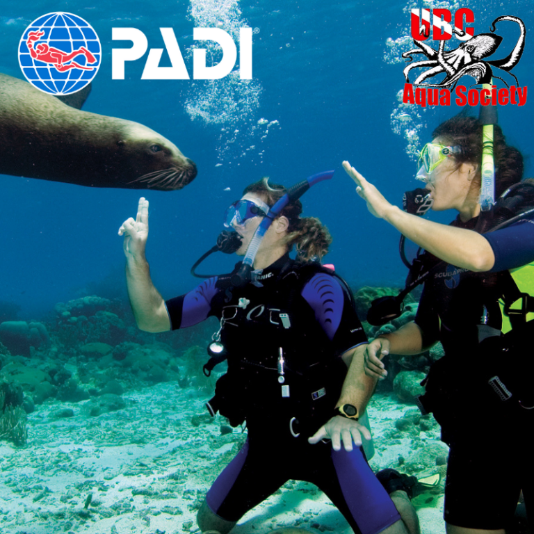 padi divemaster shirt